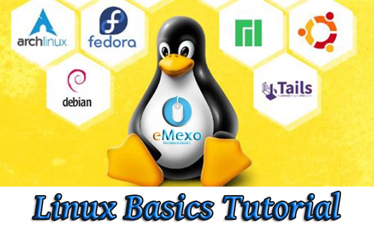 Linux Basics Tutorial