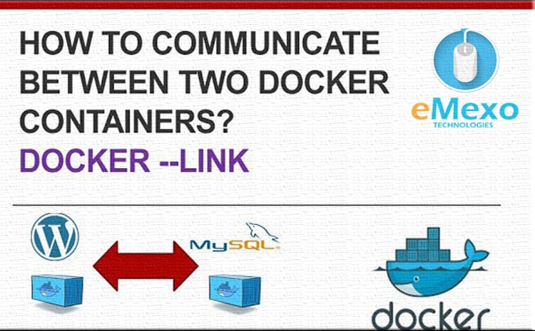  Docker –Link Container