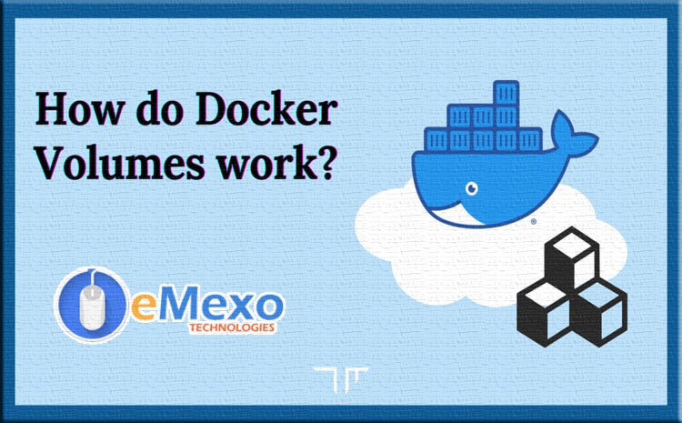  Docker Volumes