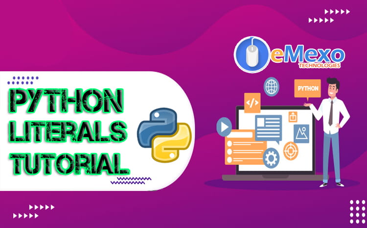  Python Literals