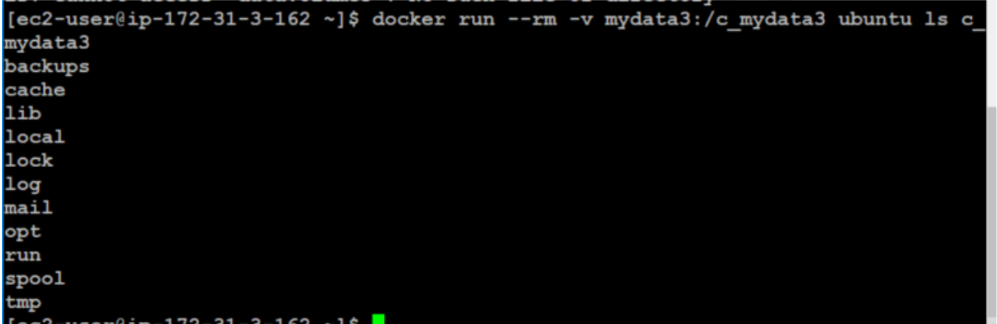 Docker run