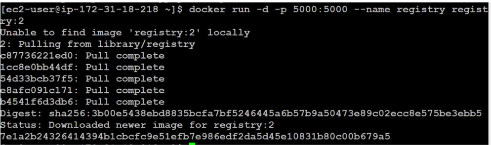 Docker Private registry - Pull complete