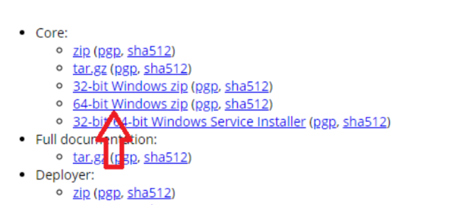 to install the Tomcat web server on Windows 10 - download zip file