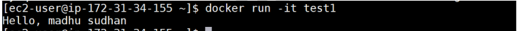 Docker run -it test1