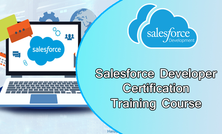 Salesforce Developer Certification Training  Course